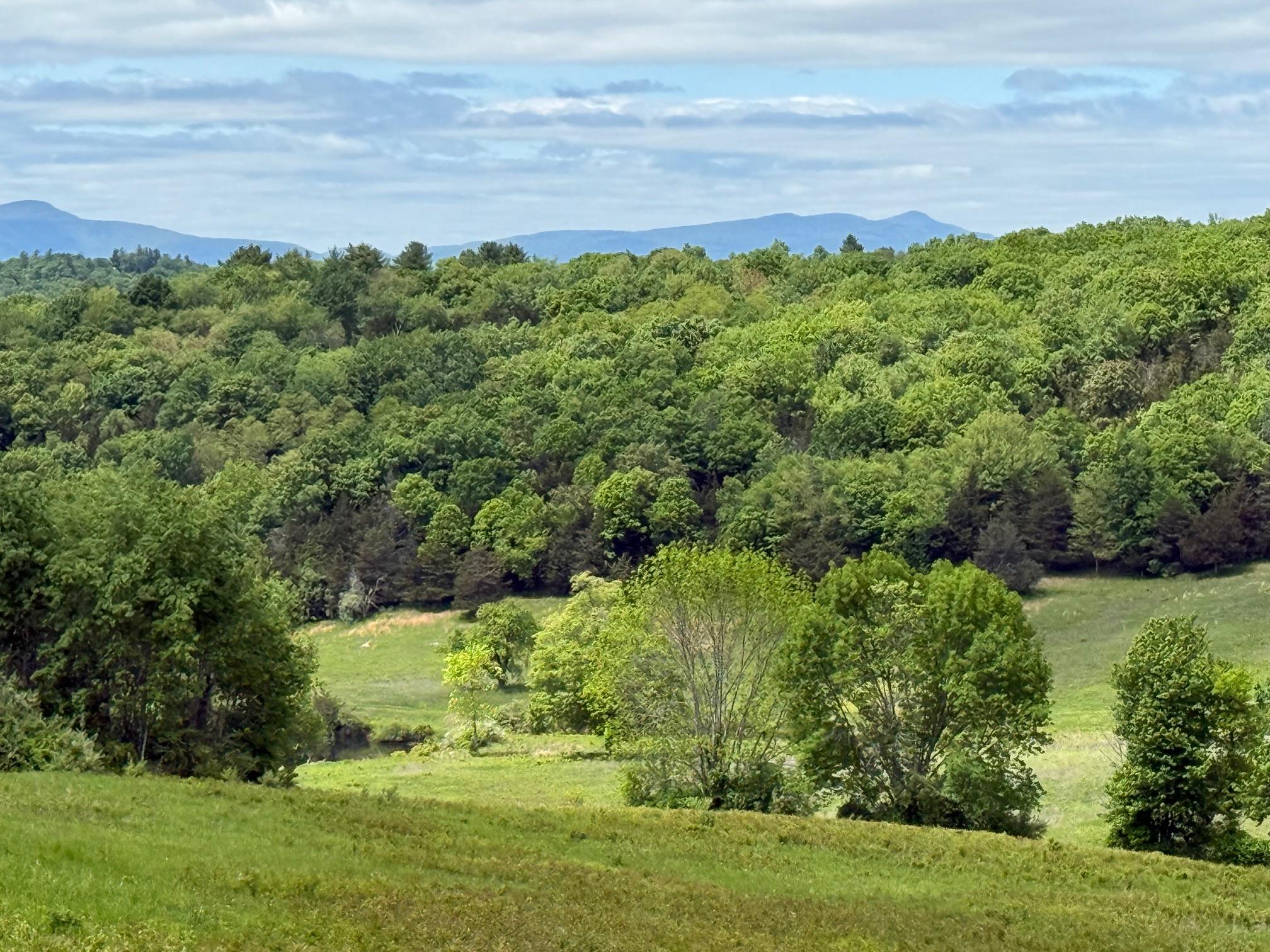 Click for more details