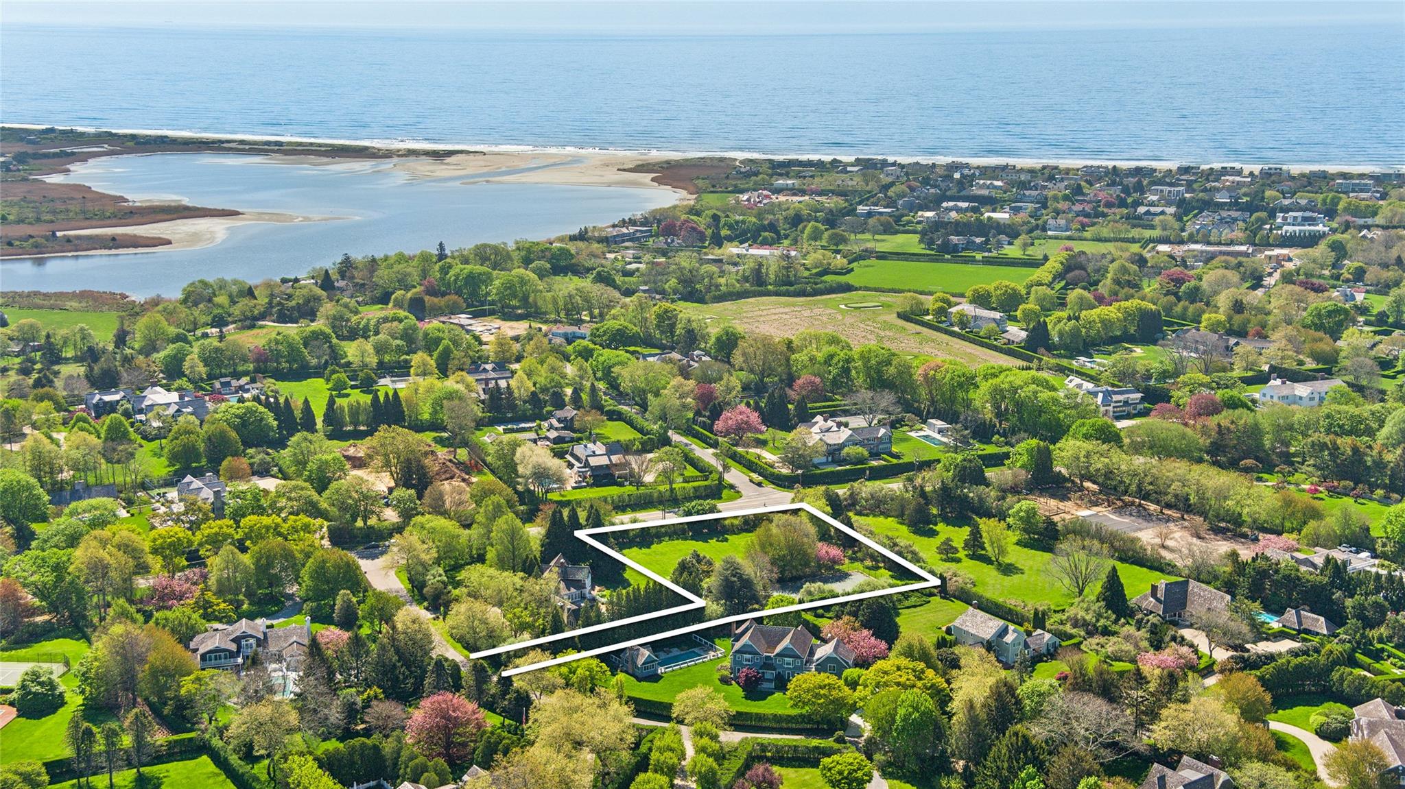 Click for more details