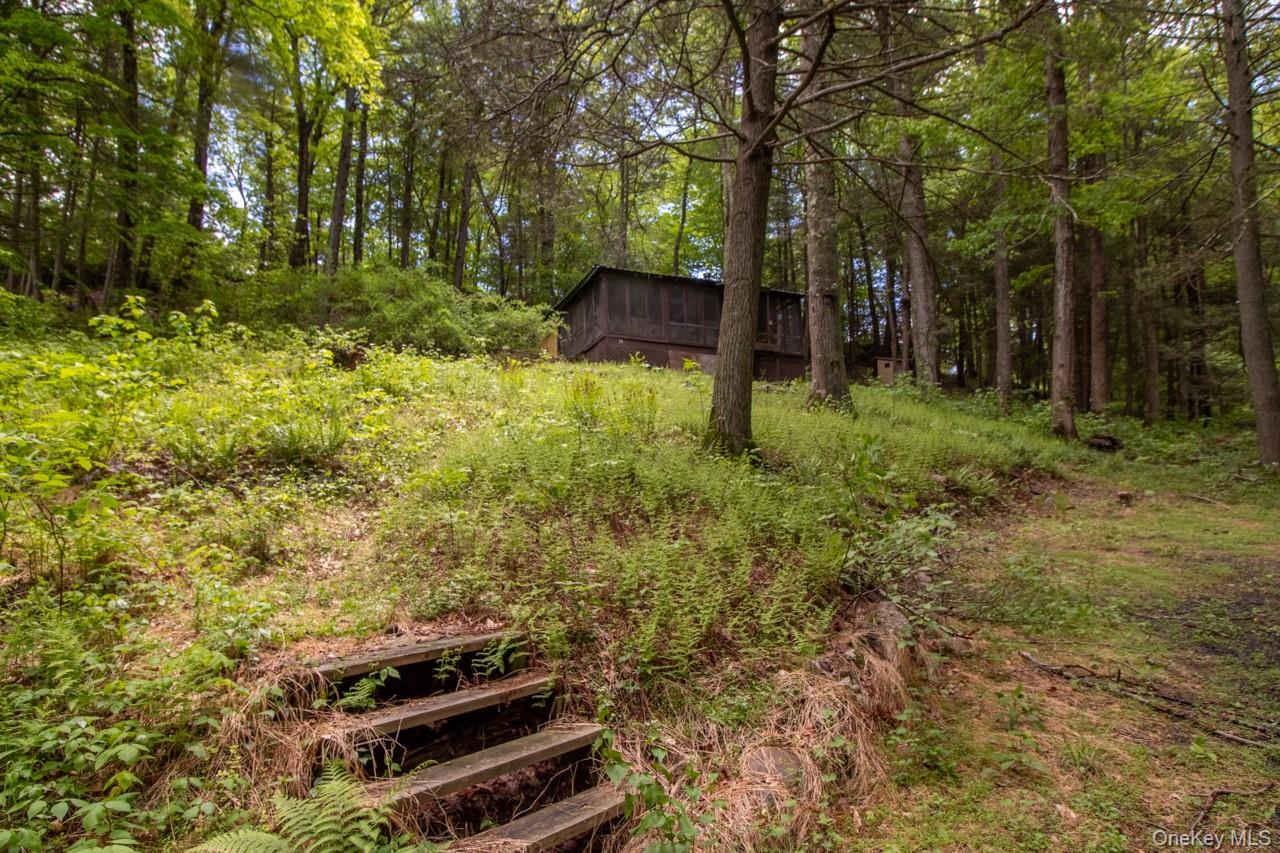   Click for more details  