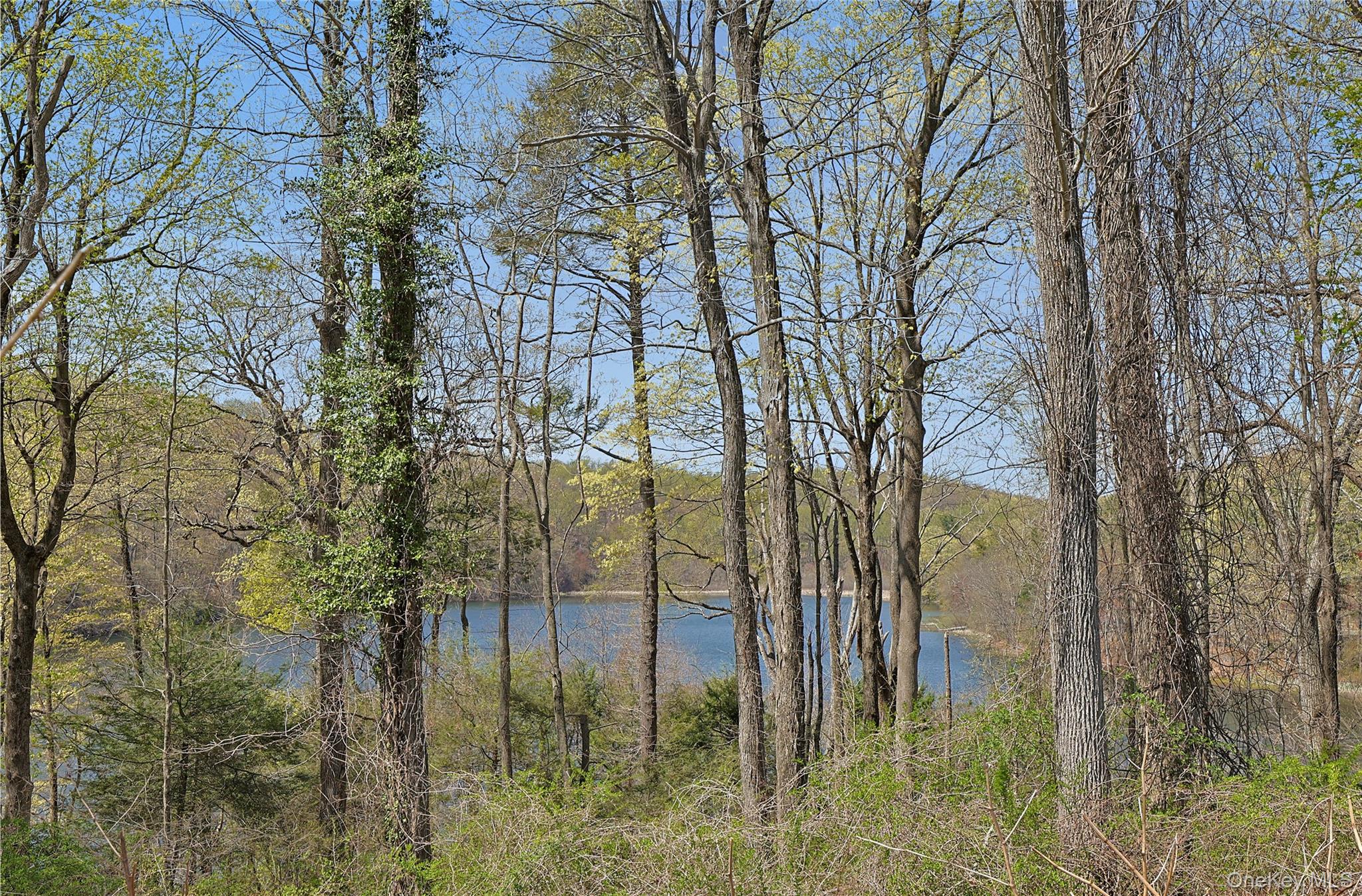 Armonk, New York, 10504, United States, ,Residential,For Sale,1808030