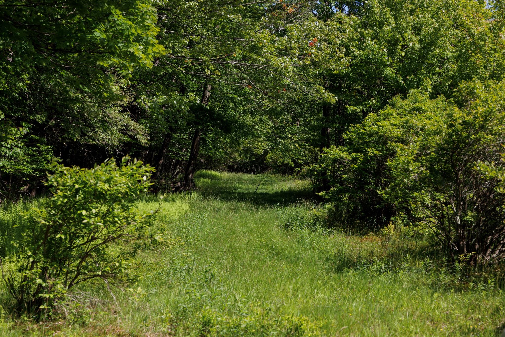   Click for more details  