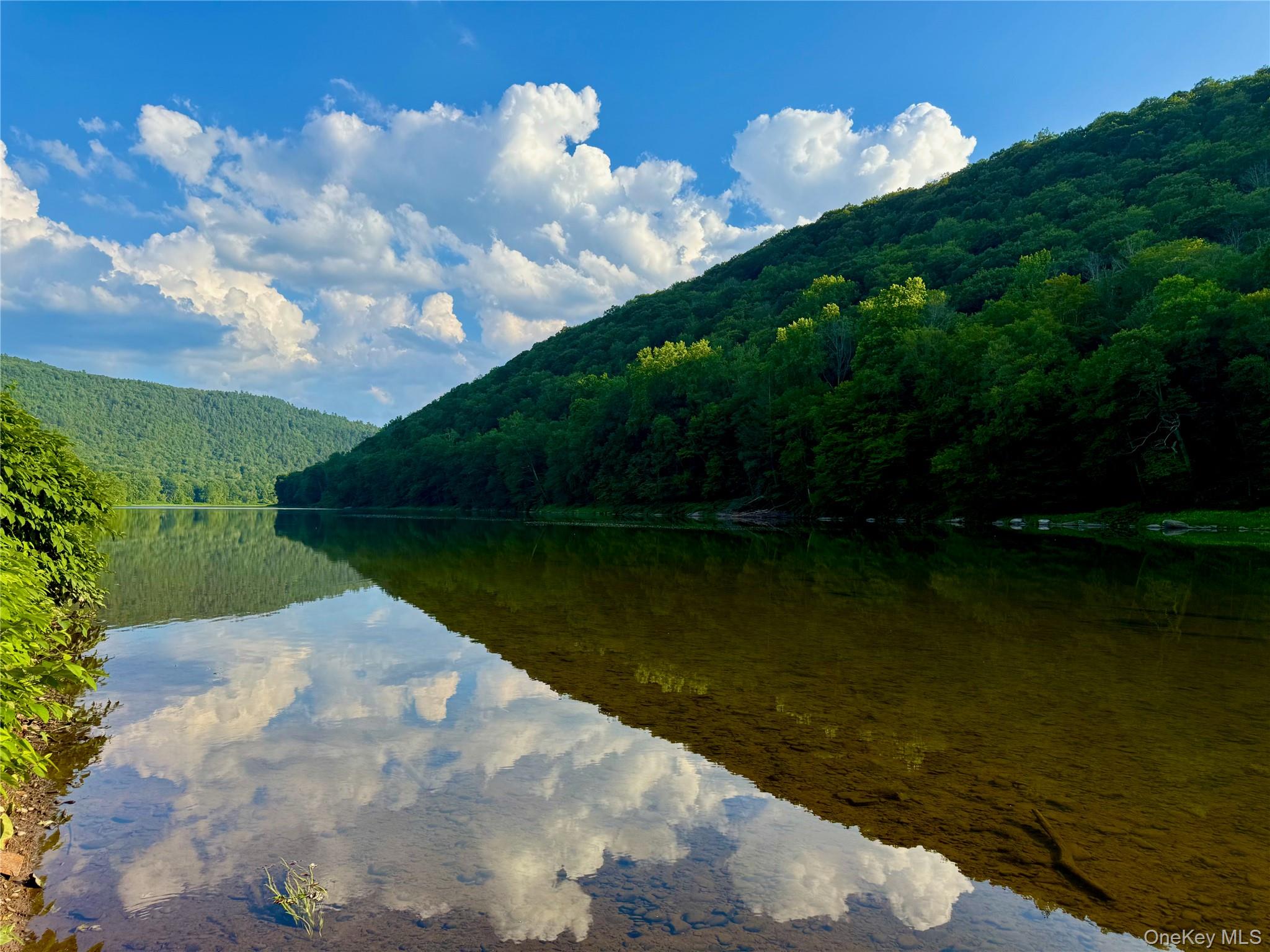   Click for more details  