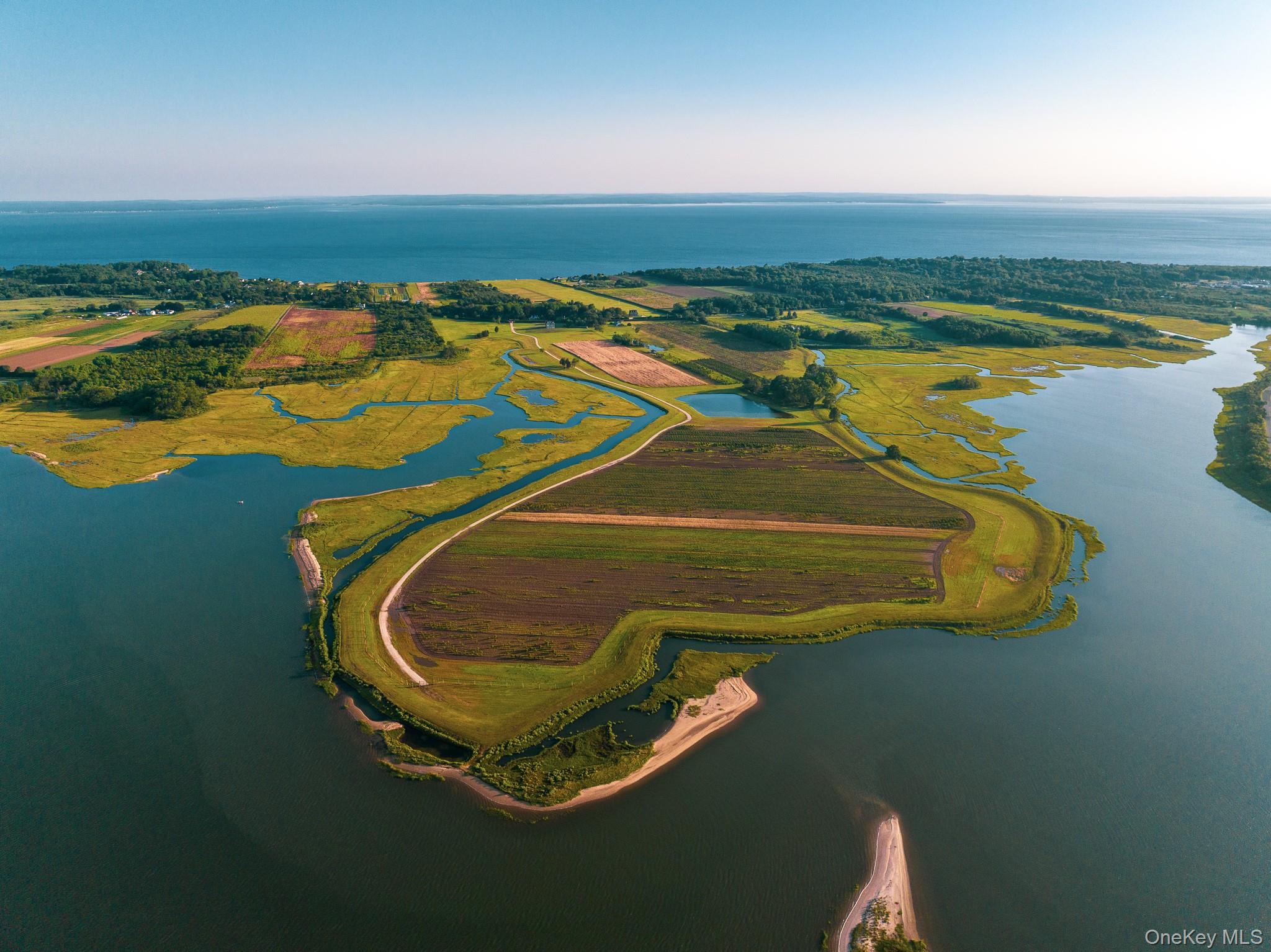 Click for more details