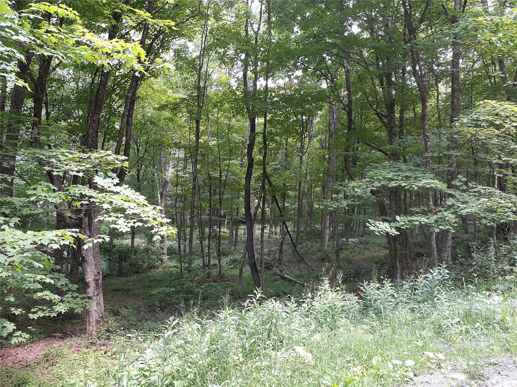   Click for more details  