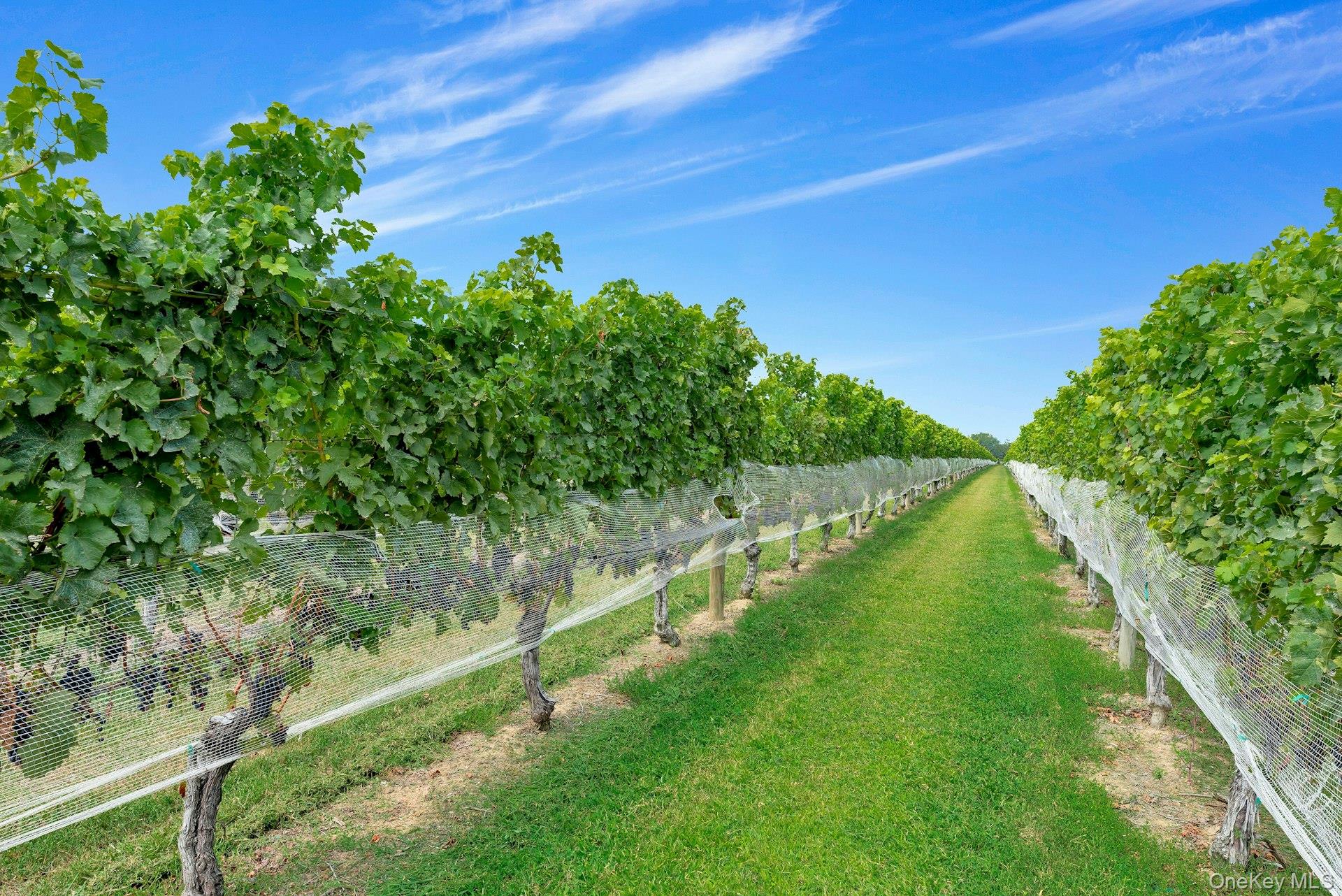 Click for more details