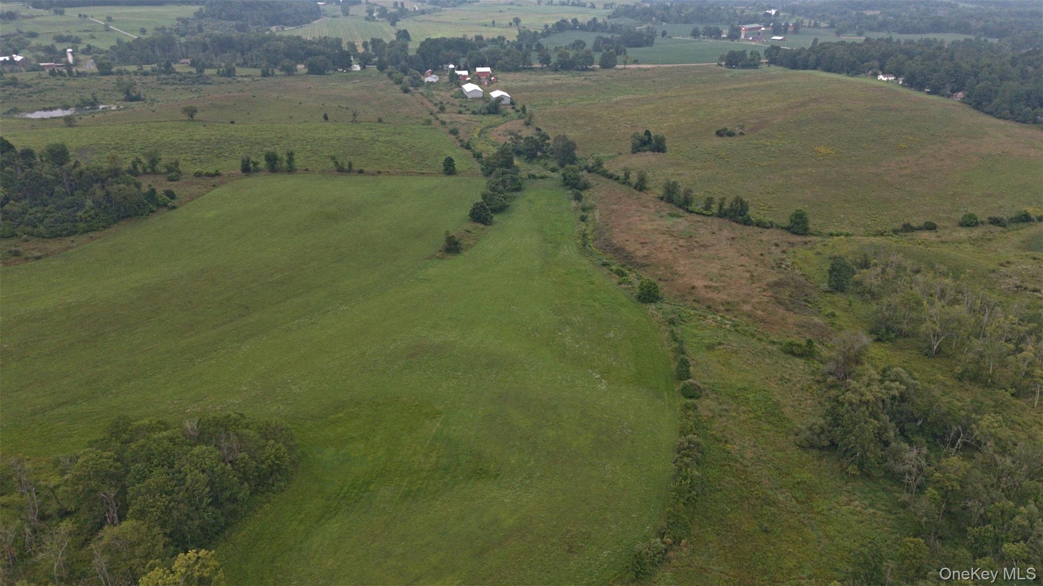 Click for more details