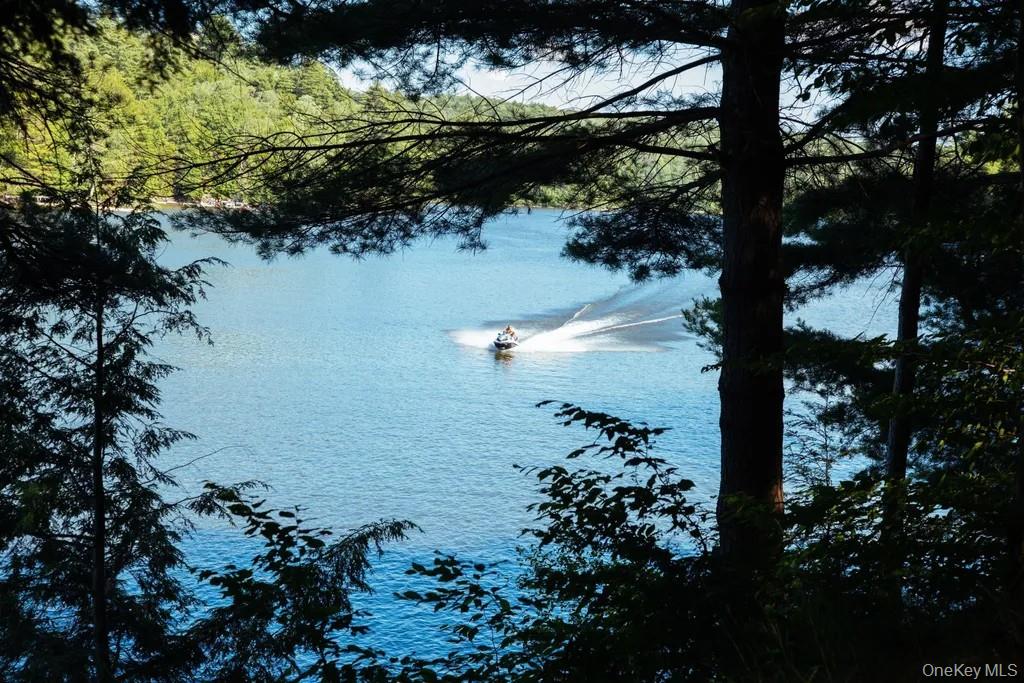 Click for more details