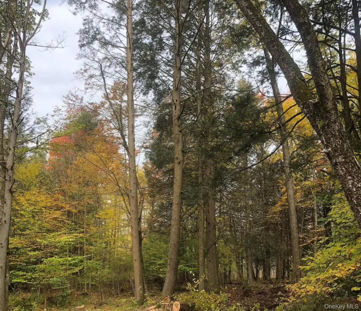   Click for more details  