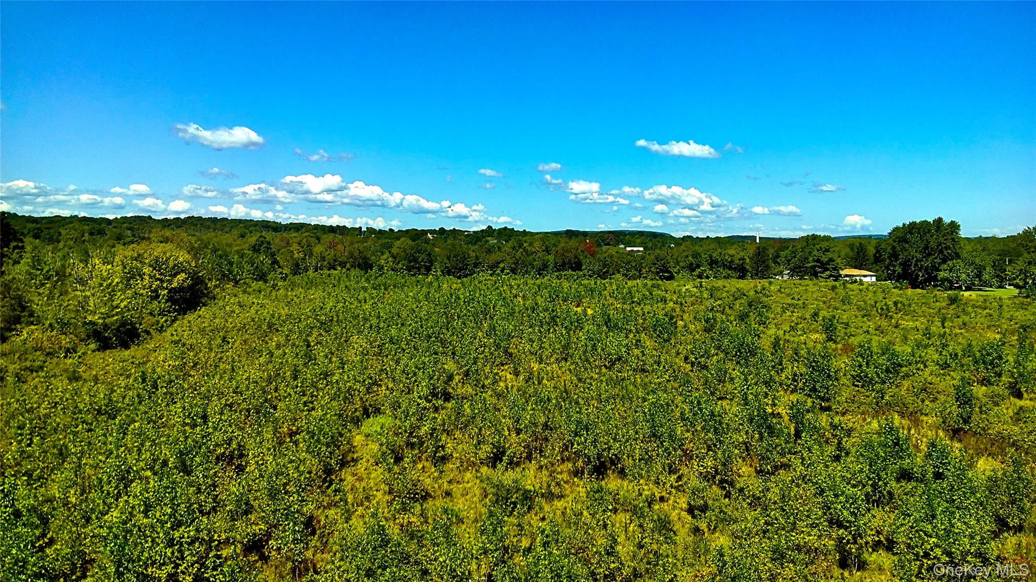   Click for more details  