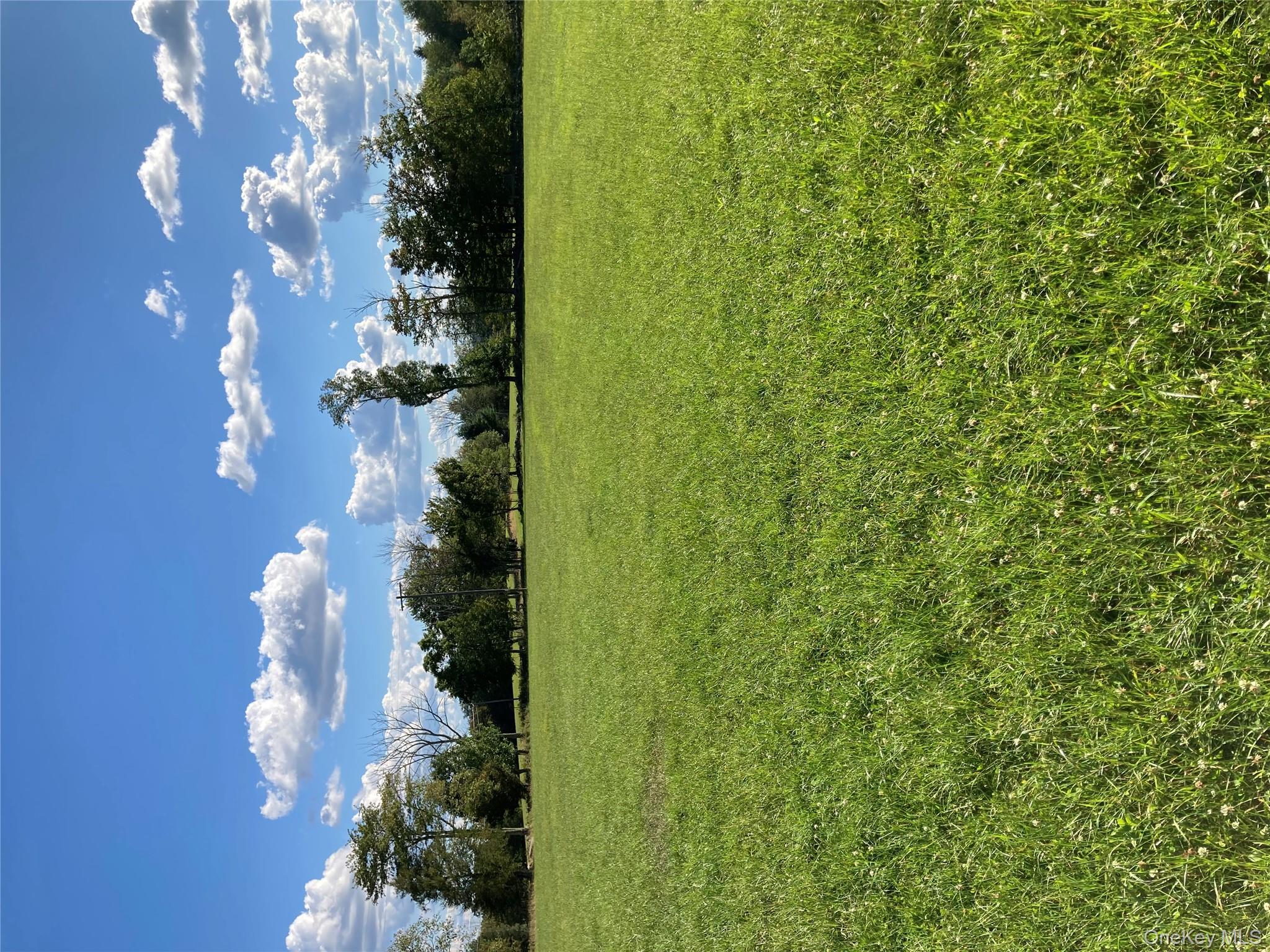 Click for more details