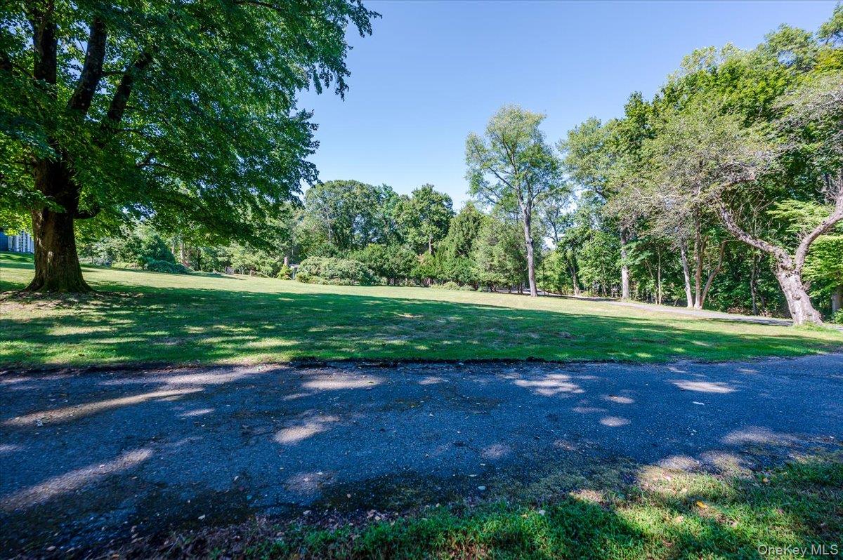   Click for more details  