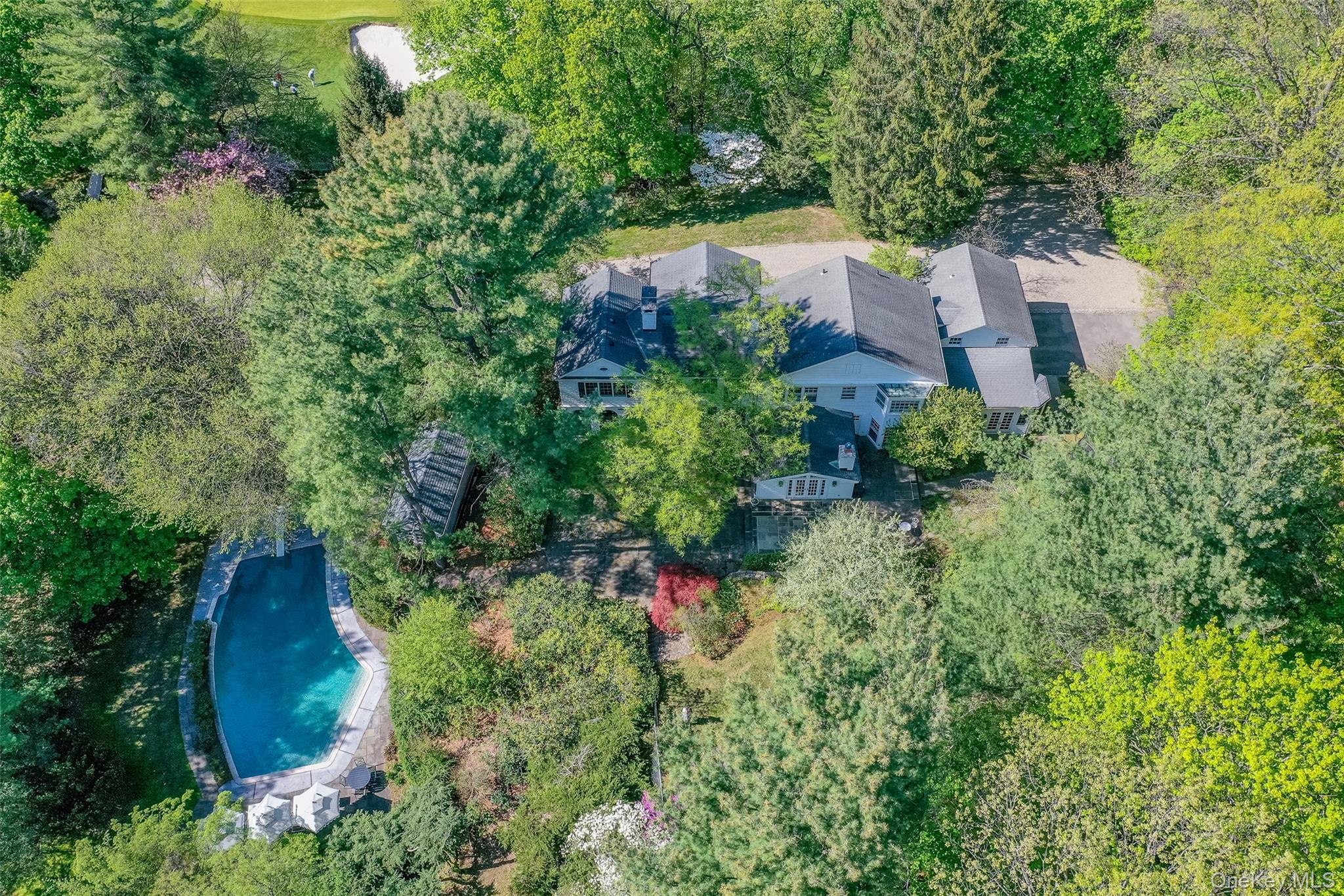   Click for more details  