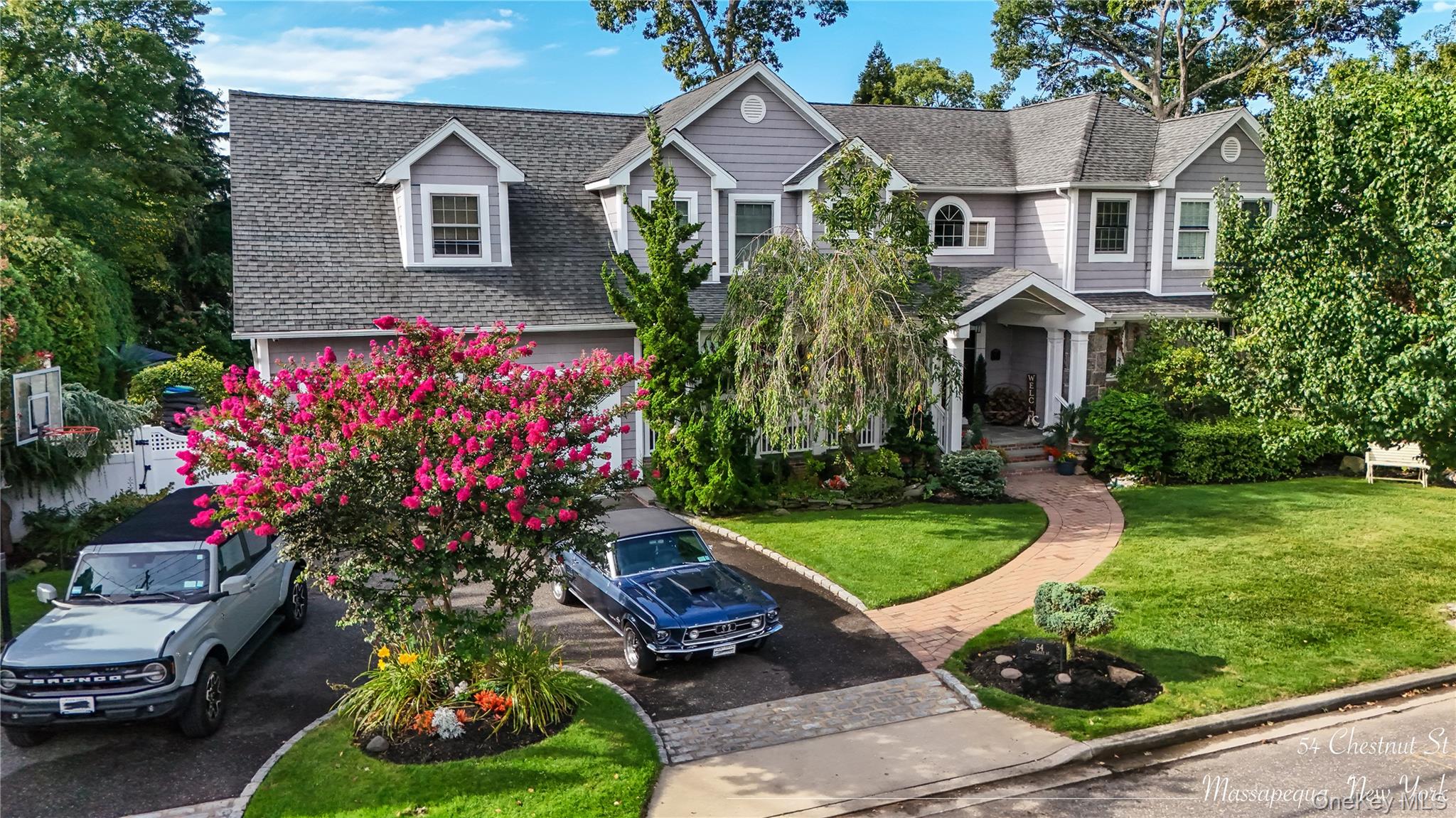   Click for more details  