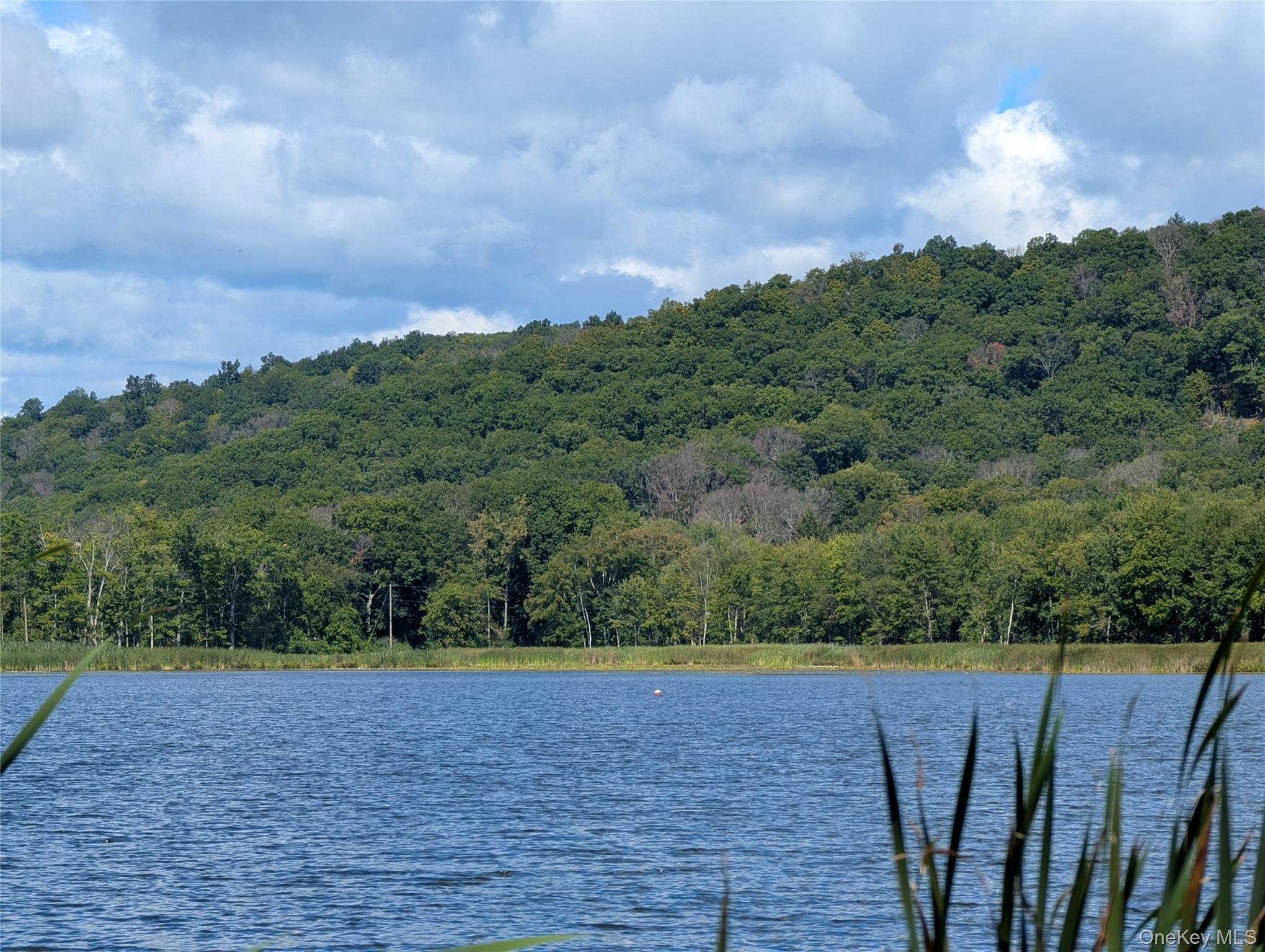   Click for more details  