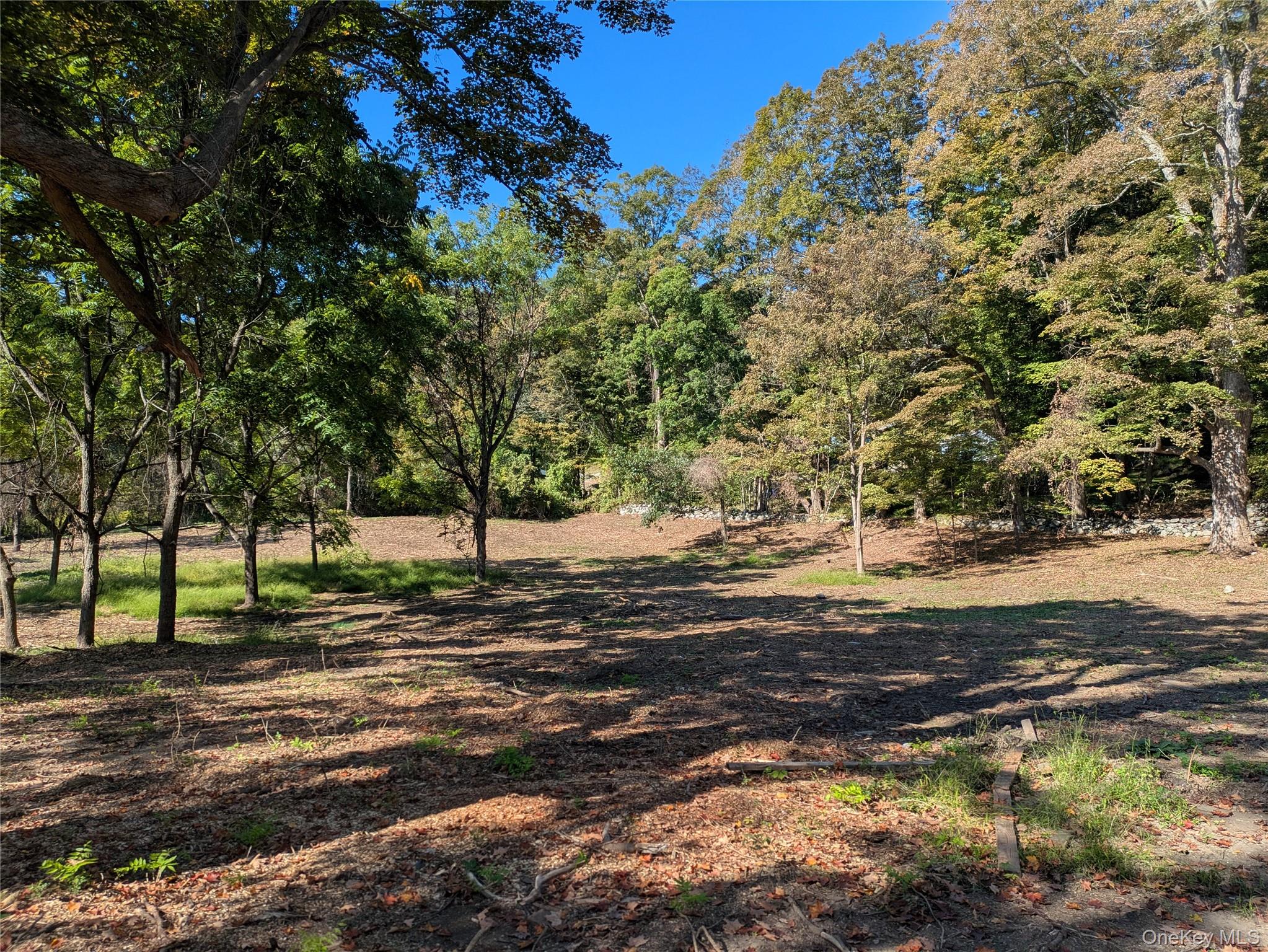   Click for more details  