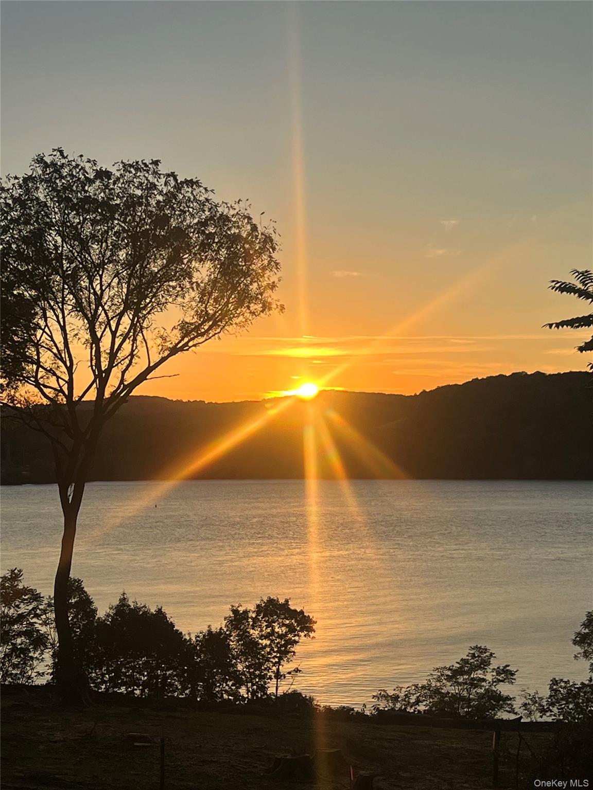   Click for more details  