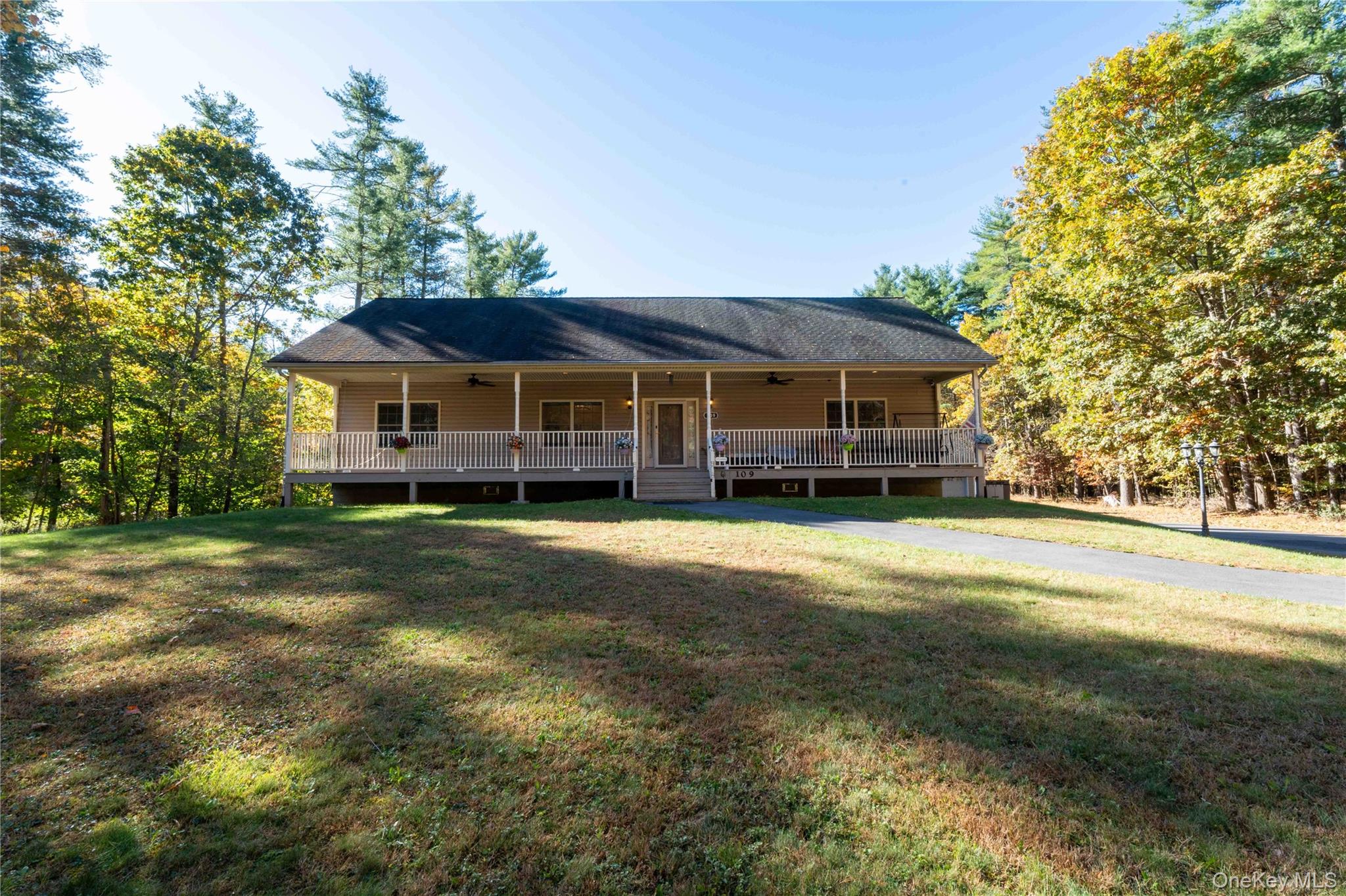   Click for more details  