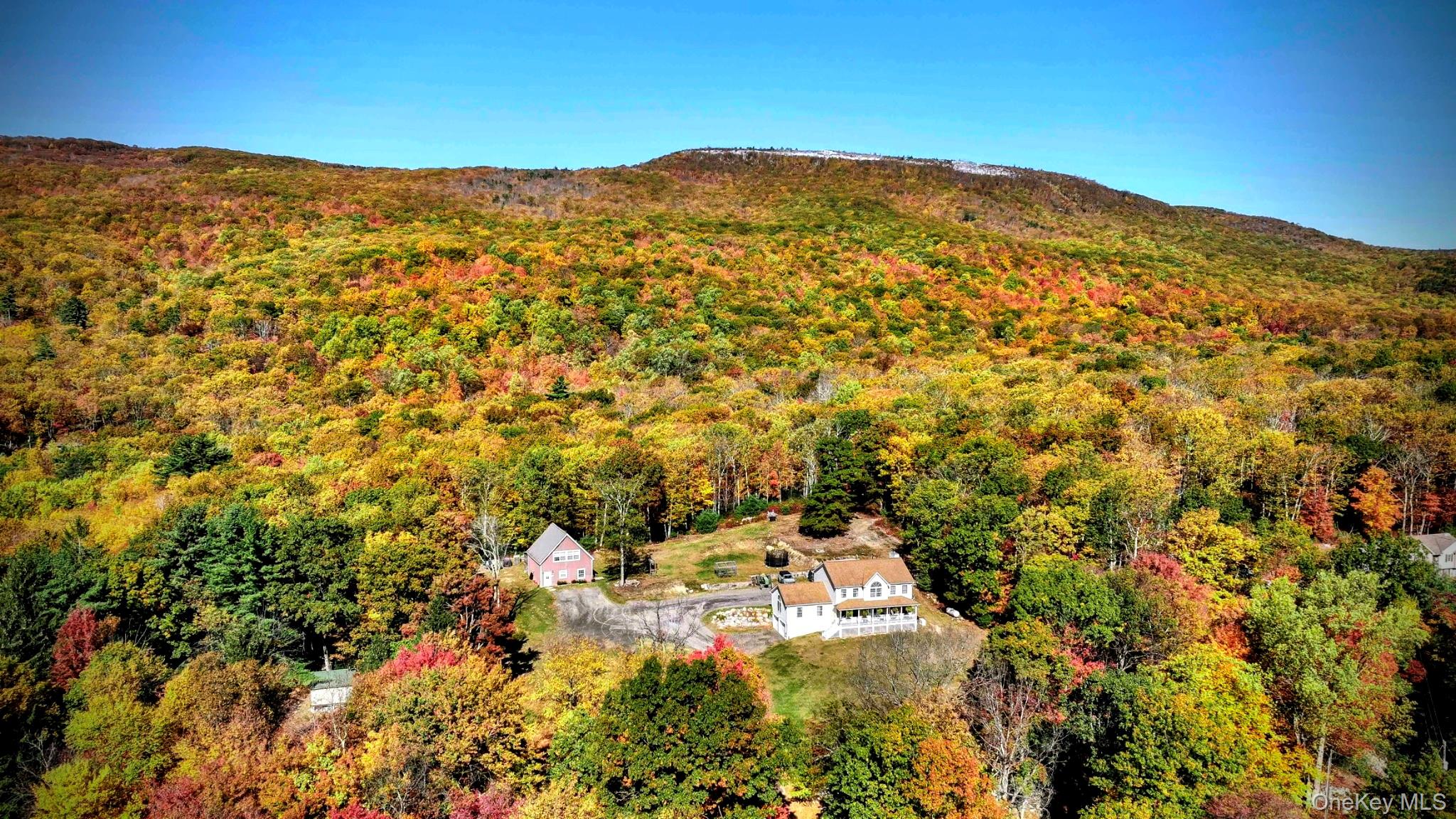 Click for more details