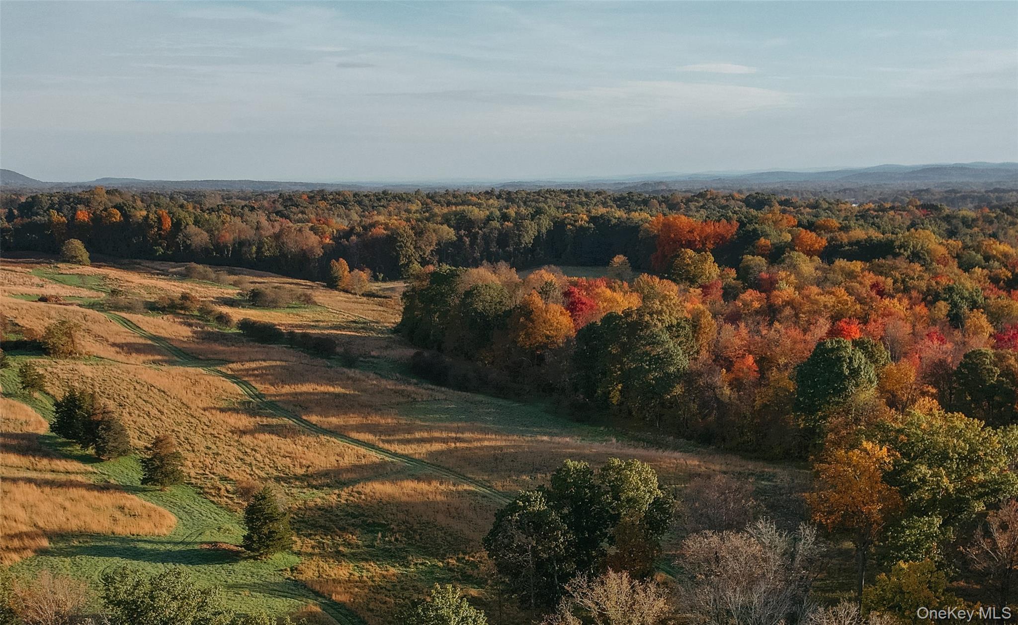   Click for more details  