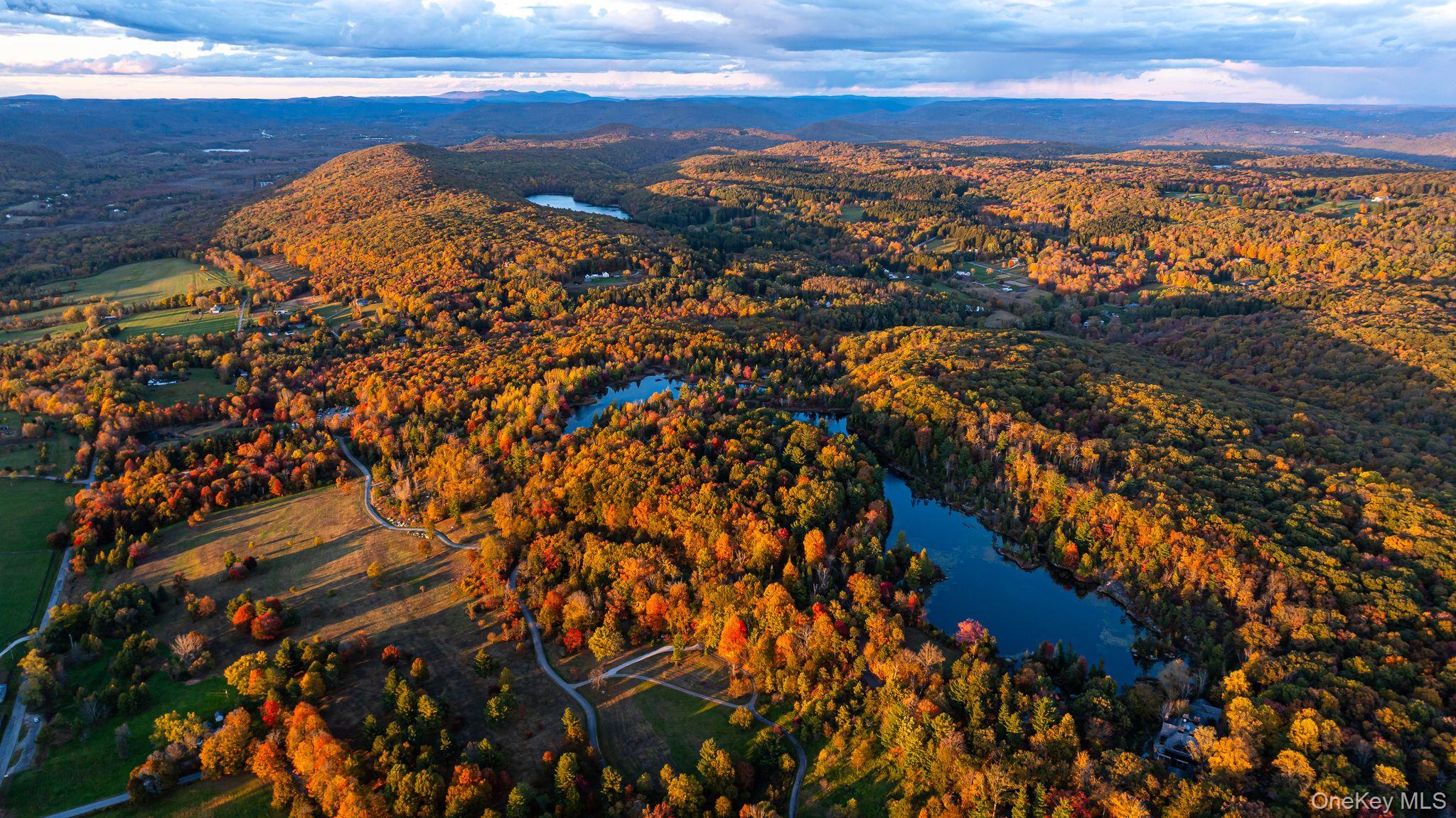   Click for more details  