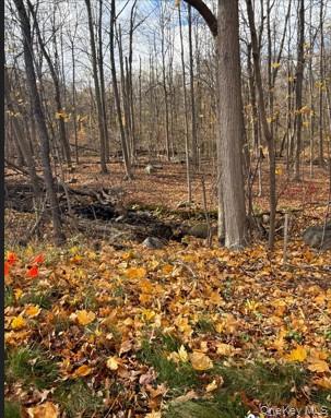   Click for more details  