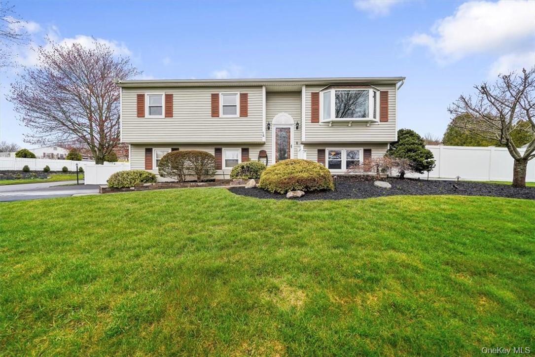   Click for more details  