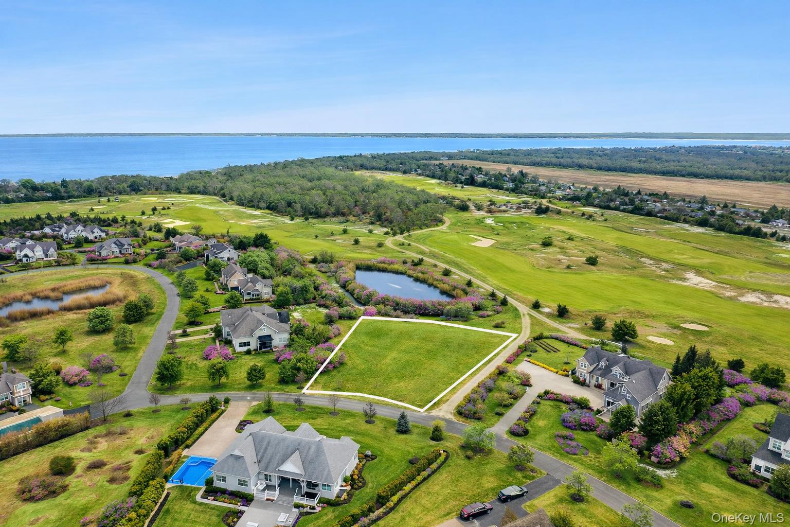   Click for more details  