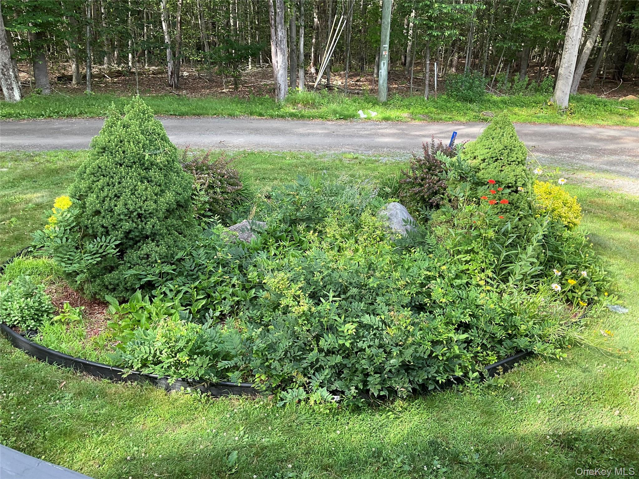   Click for more details  