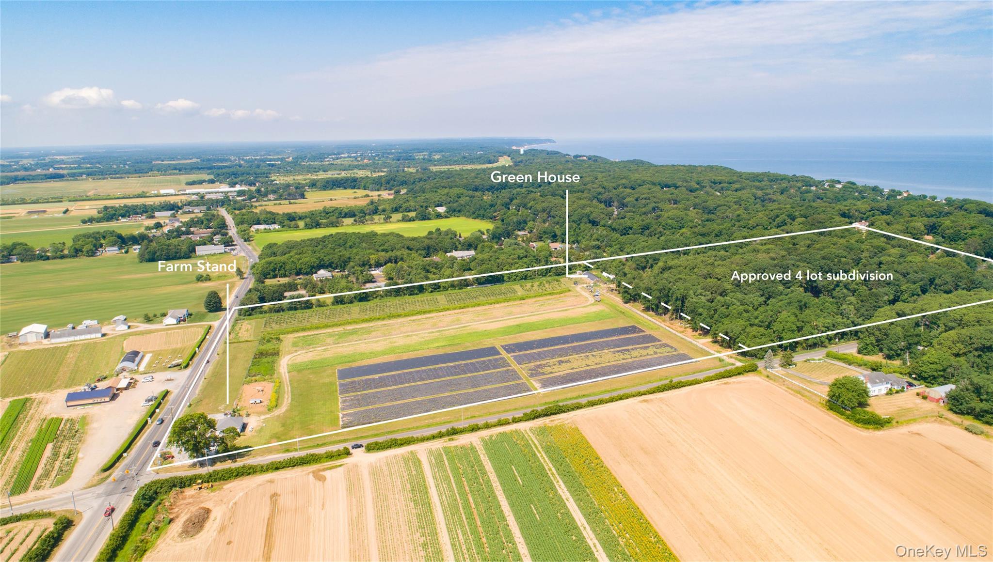 Click for more details