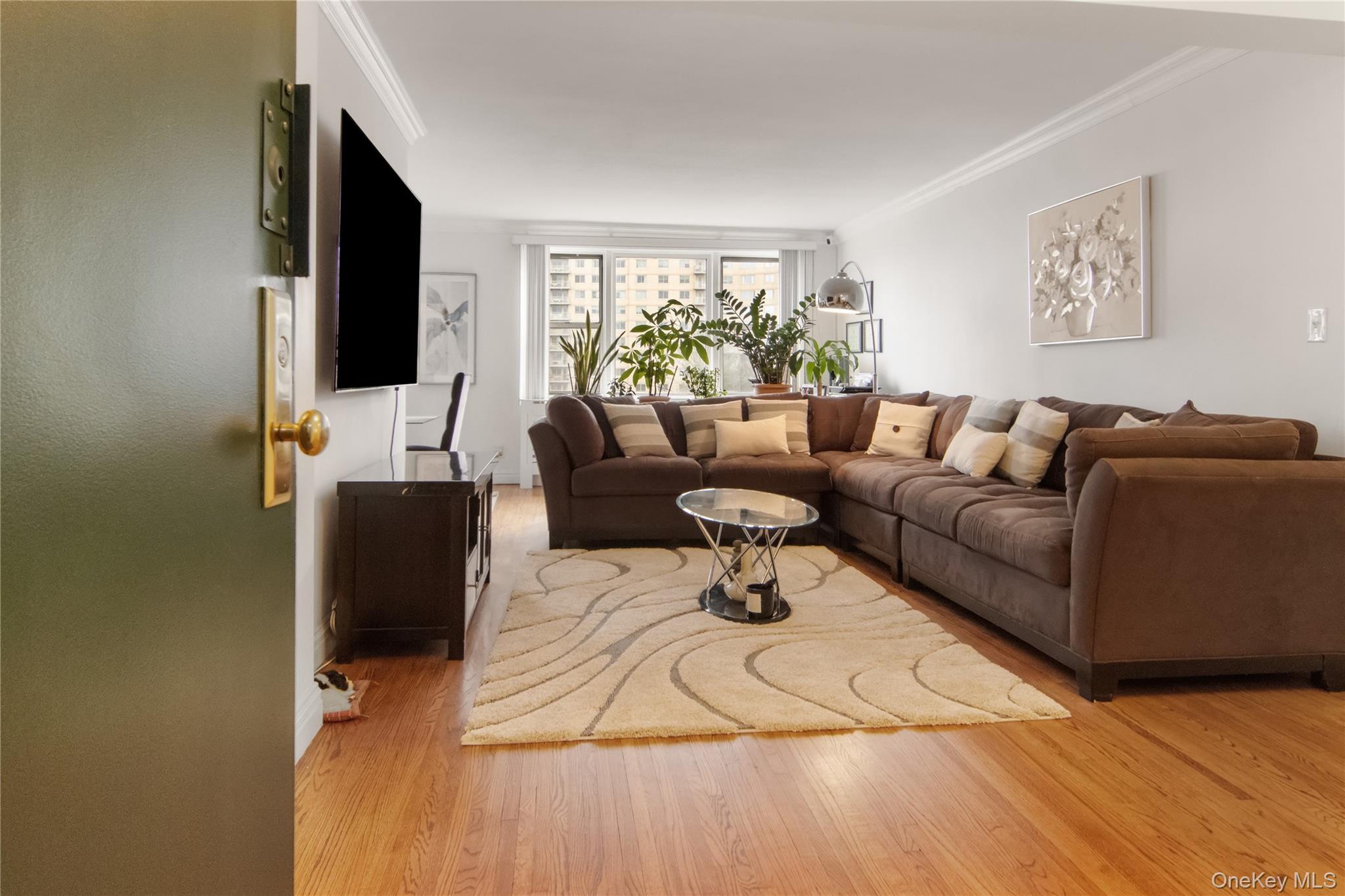   Click for more details  