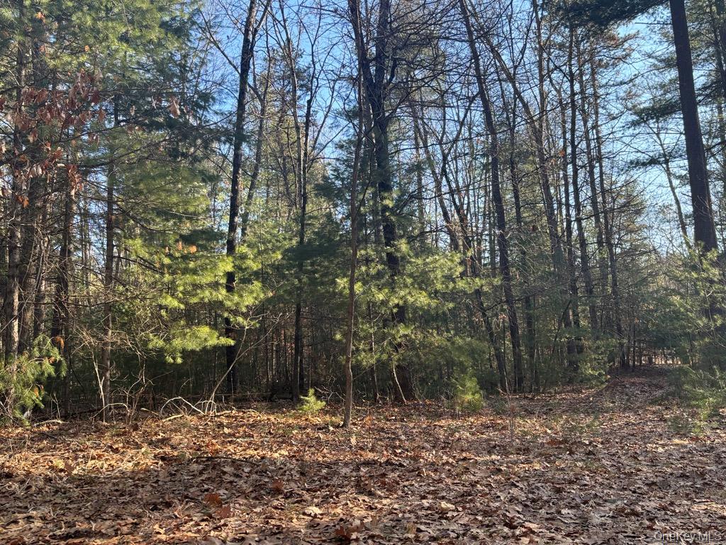   Click for more details  