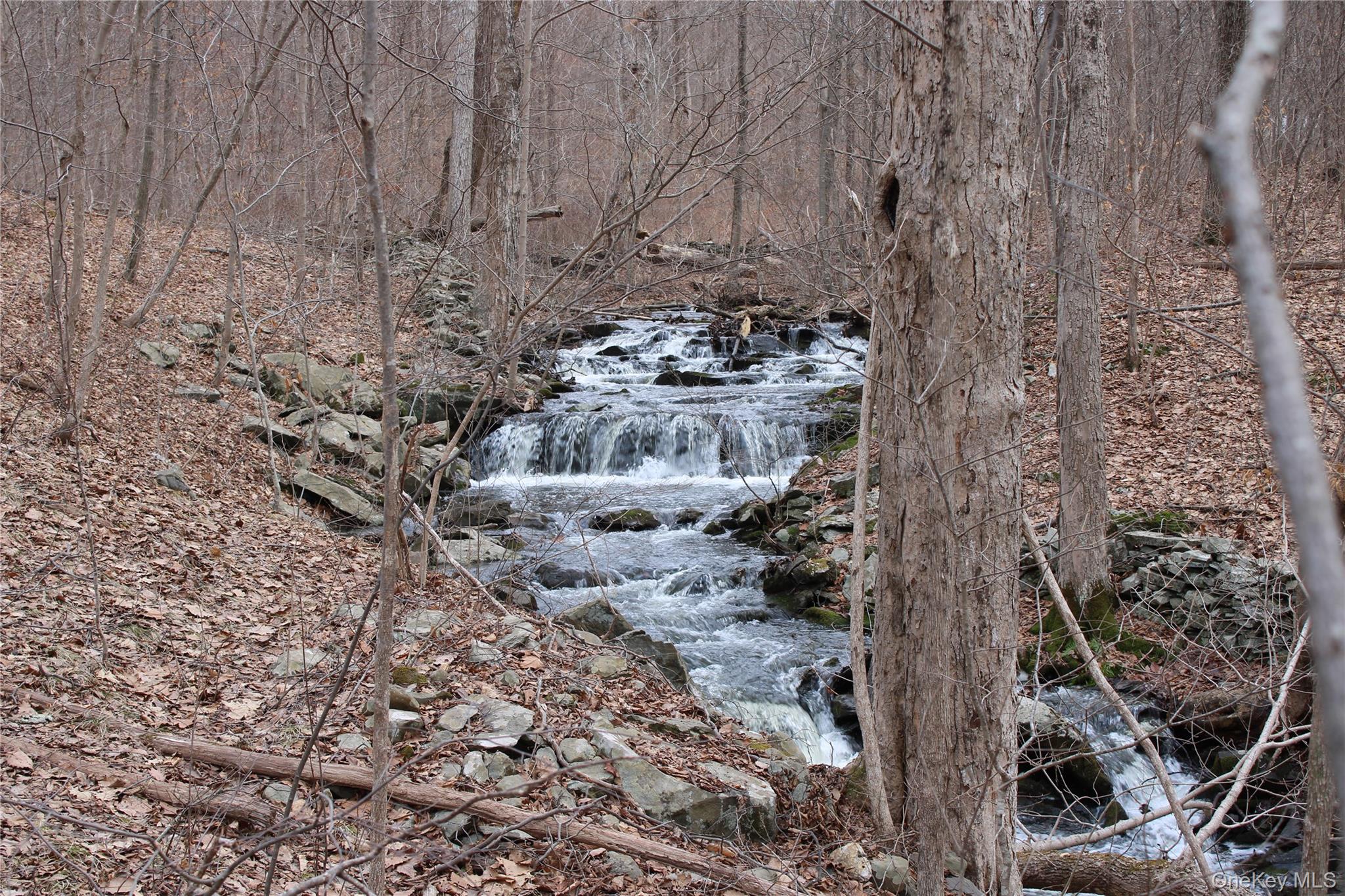   Click for more details  