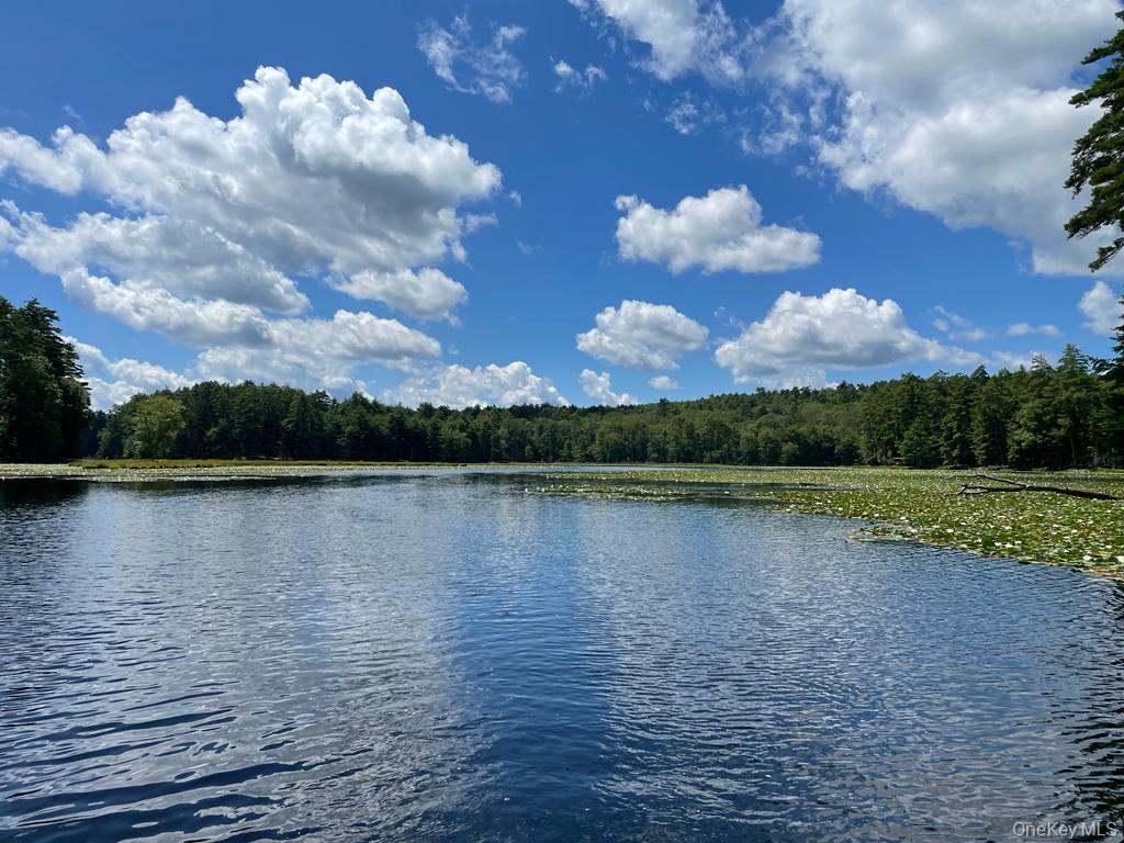   Click for more details  