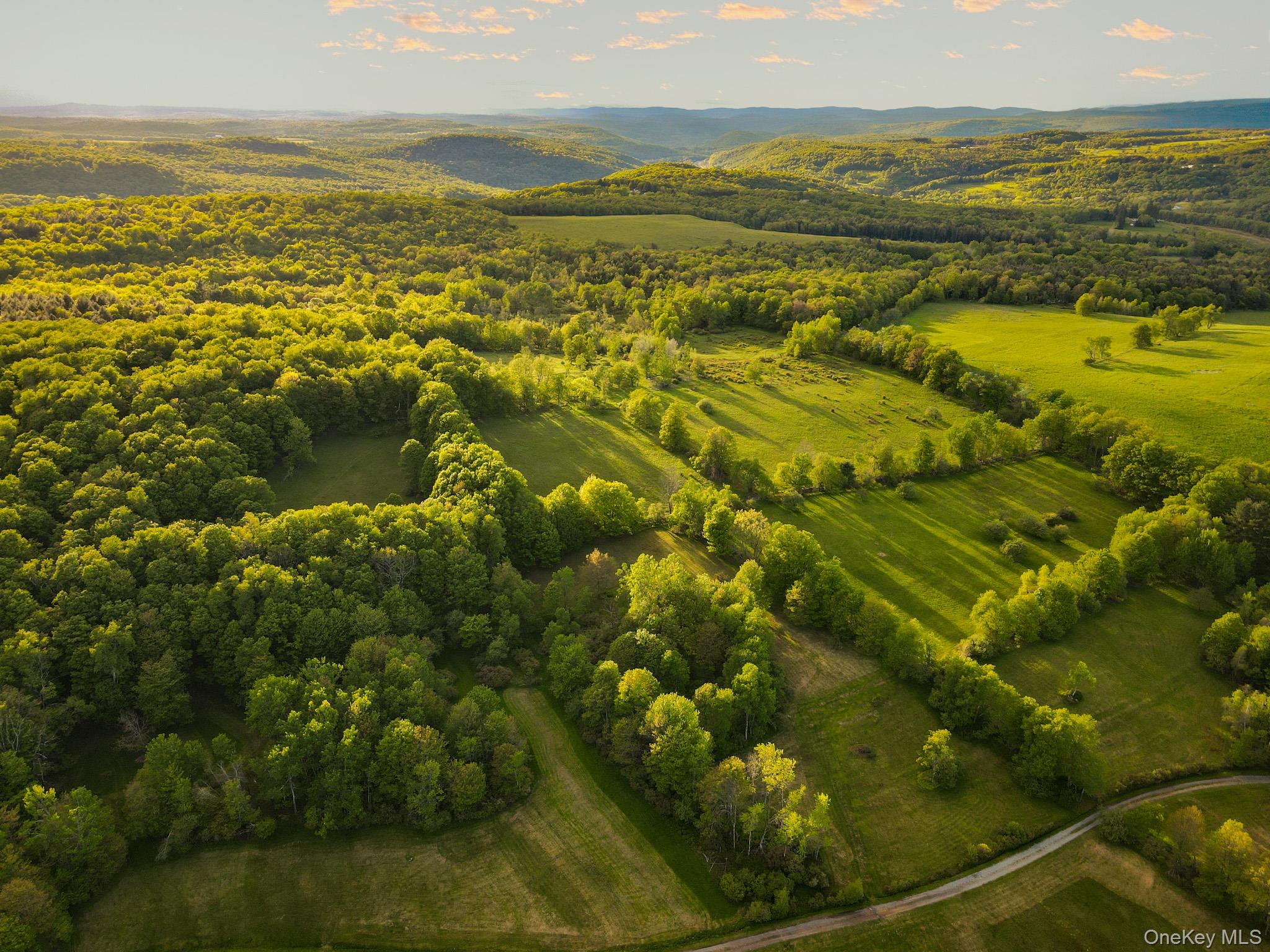   Click for more details  