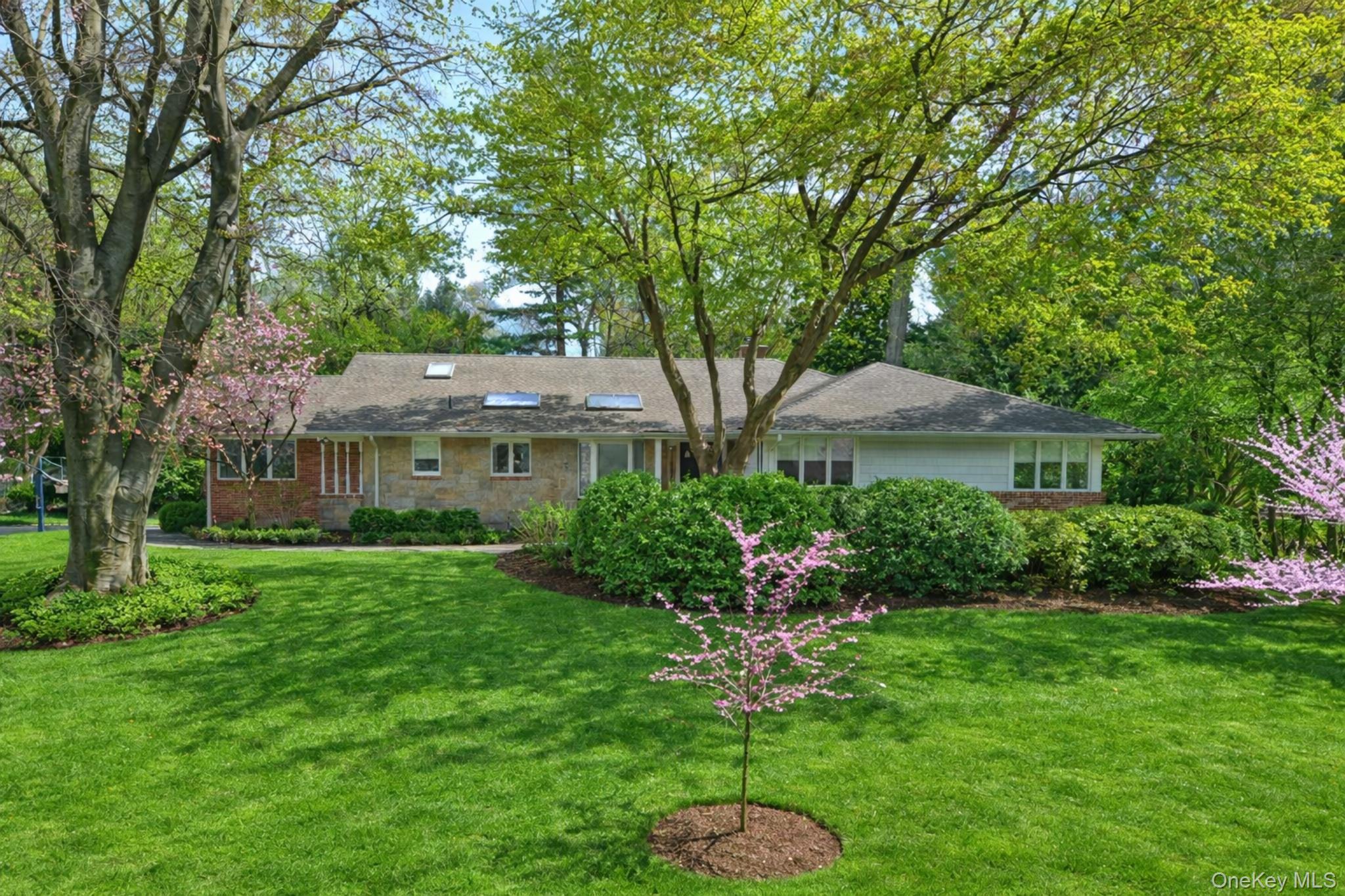   Click for more details  